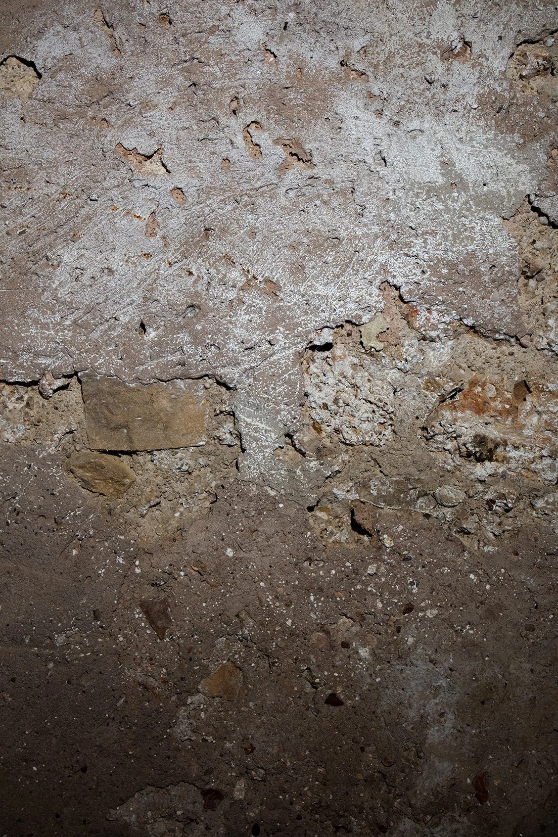 2 0R6A0030 copy 2.jpg