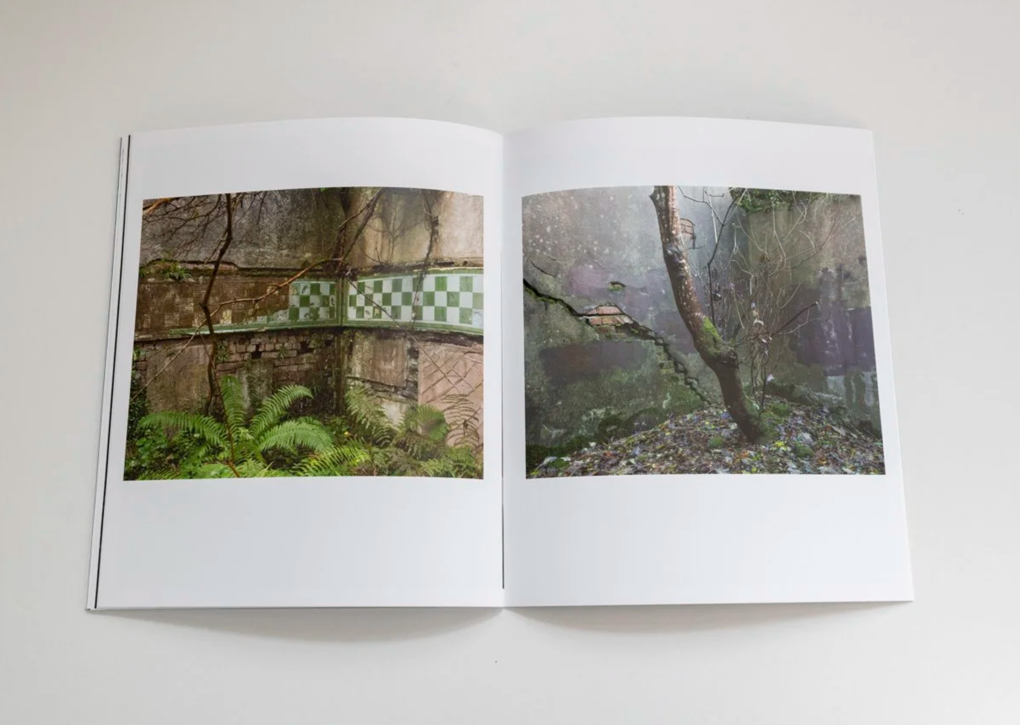 Screenshot 2026-01-21 at 12.02.32.png