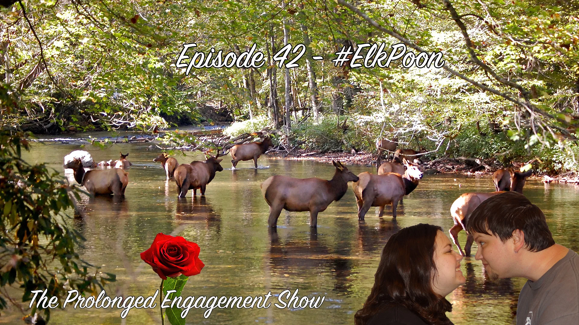 Episode 42 - #ElkPoon