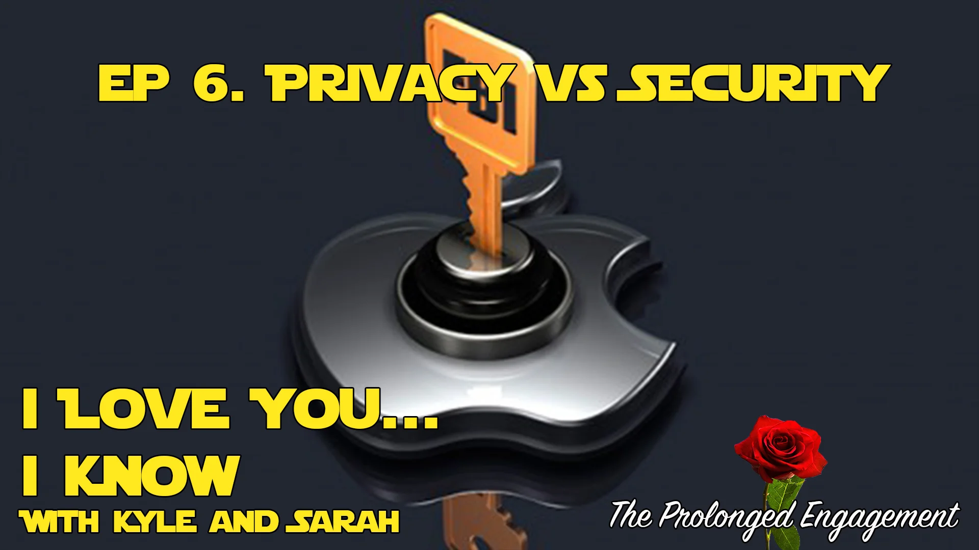 Ep. 6 Privacy vs Security