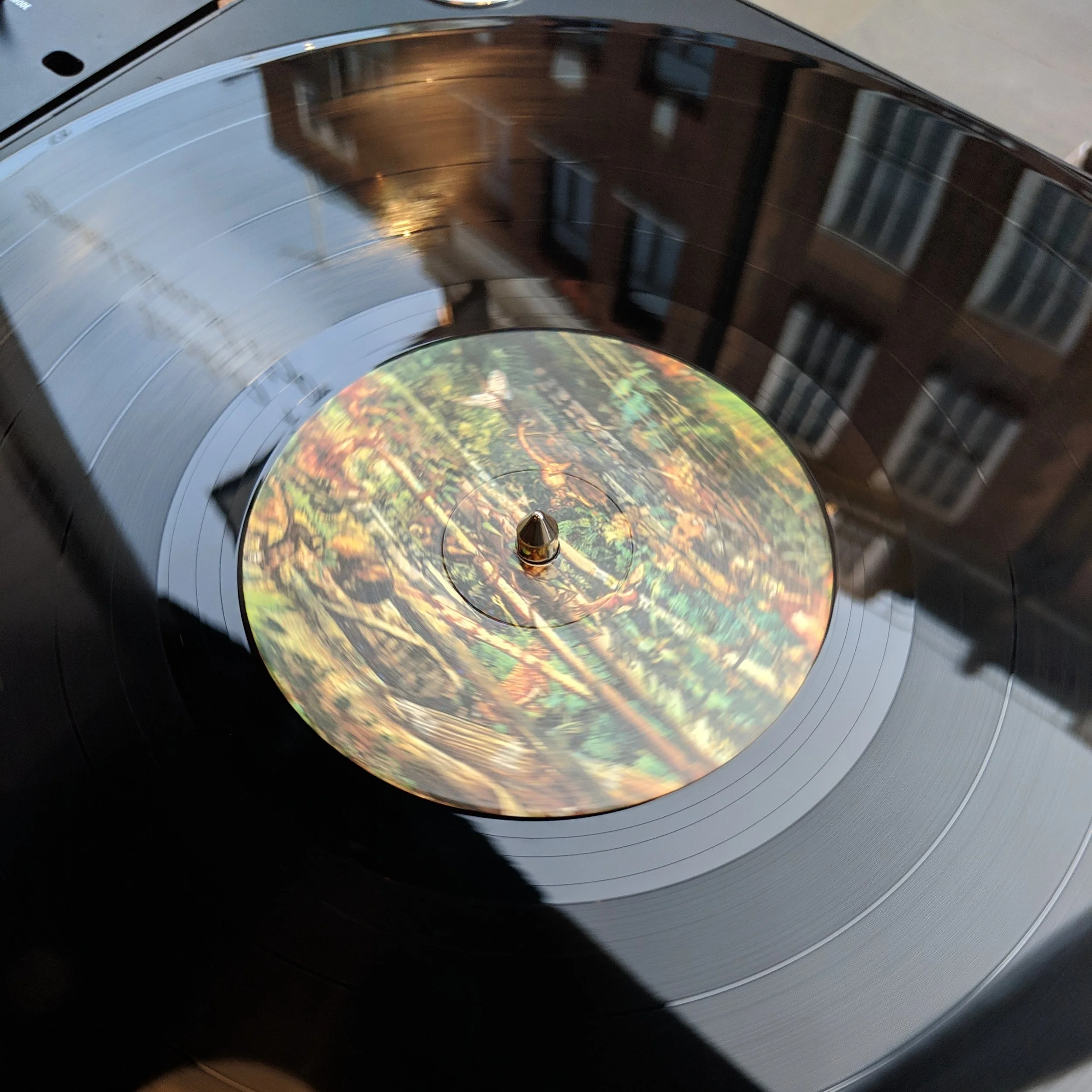 MVIMG_20190413_184622.jpg