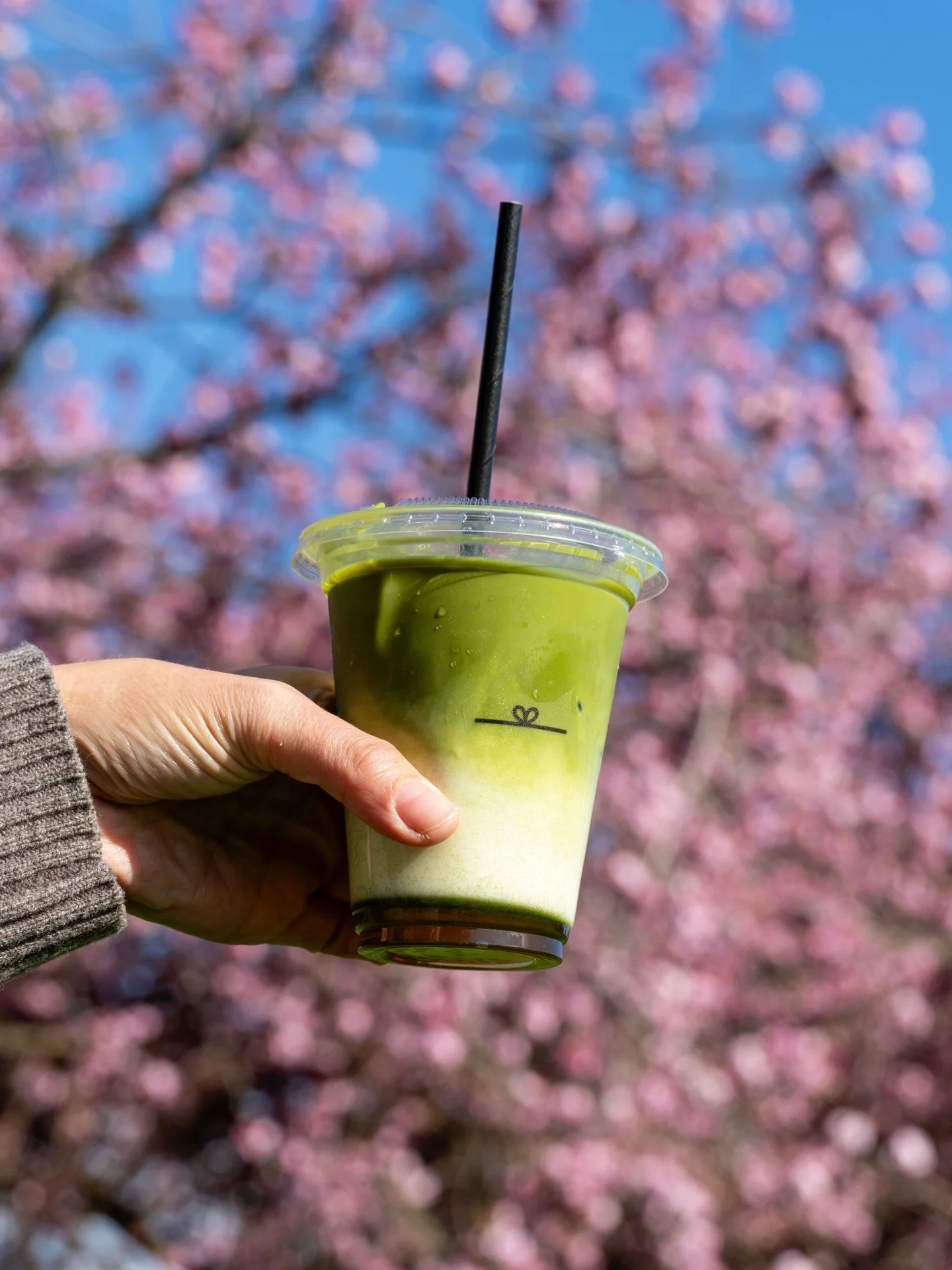 NEW house-made vanilla &amp; cardamom syrups

iced vanilla matcha &amp; cardamom iced latte
 under cherry blossoms 🌸

swipe &rarr;