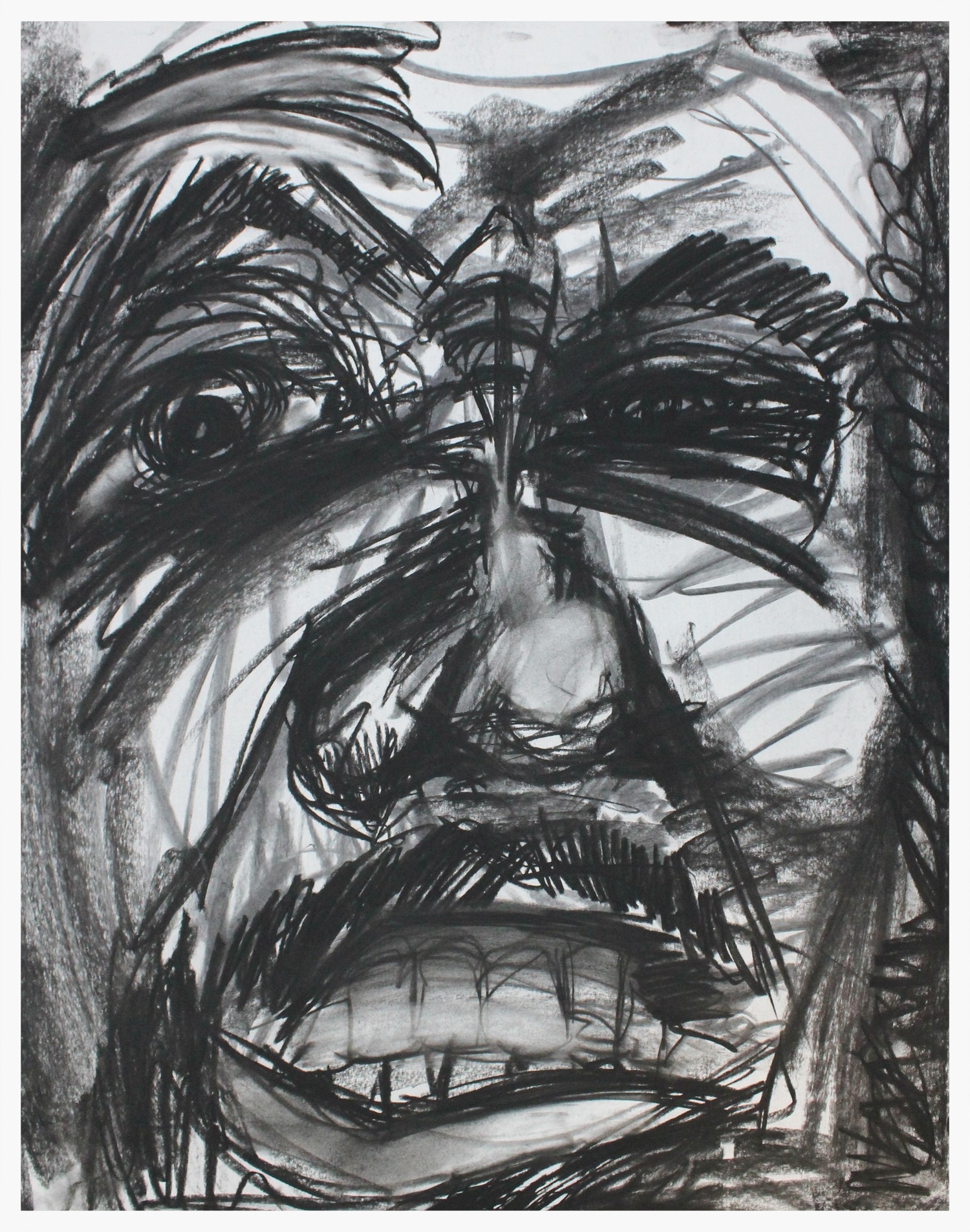 You Won't Like Me When I'm Angry Charcoal on Paper 18" x 24" 
