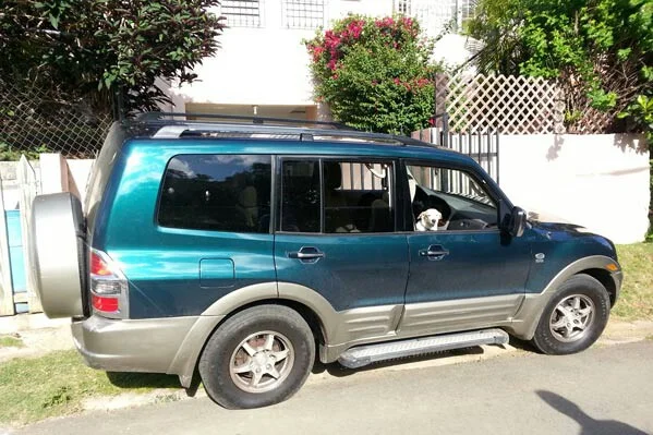 2001-4wd-mitz-1.jpg