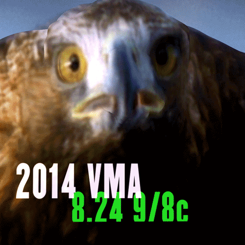 eagle_01.gif