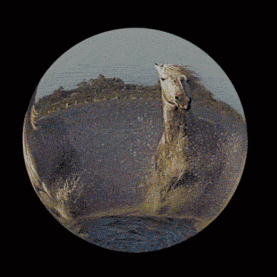 sphereMosh_02.gif