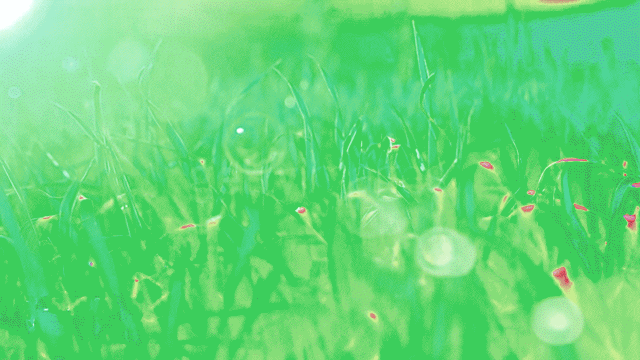 grass_SP.gif