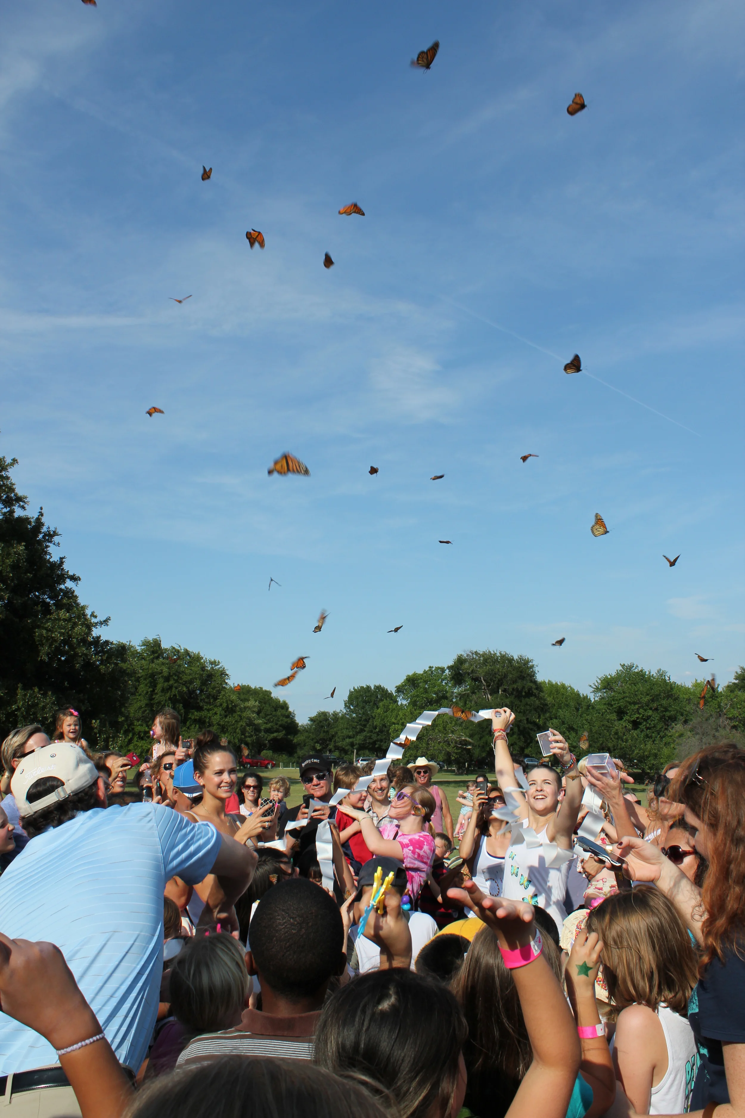 FlagPoleHill full size-023.JPG