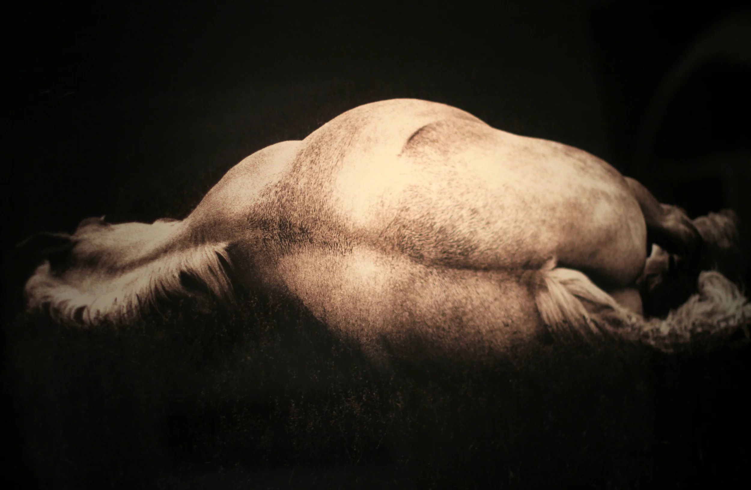 LRFA George Krause-069.JPG