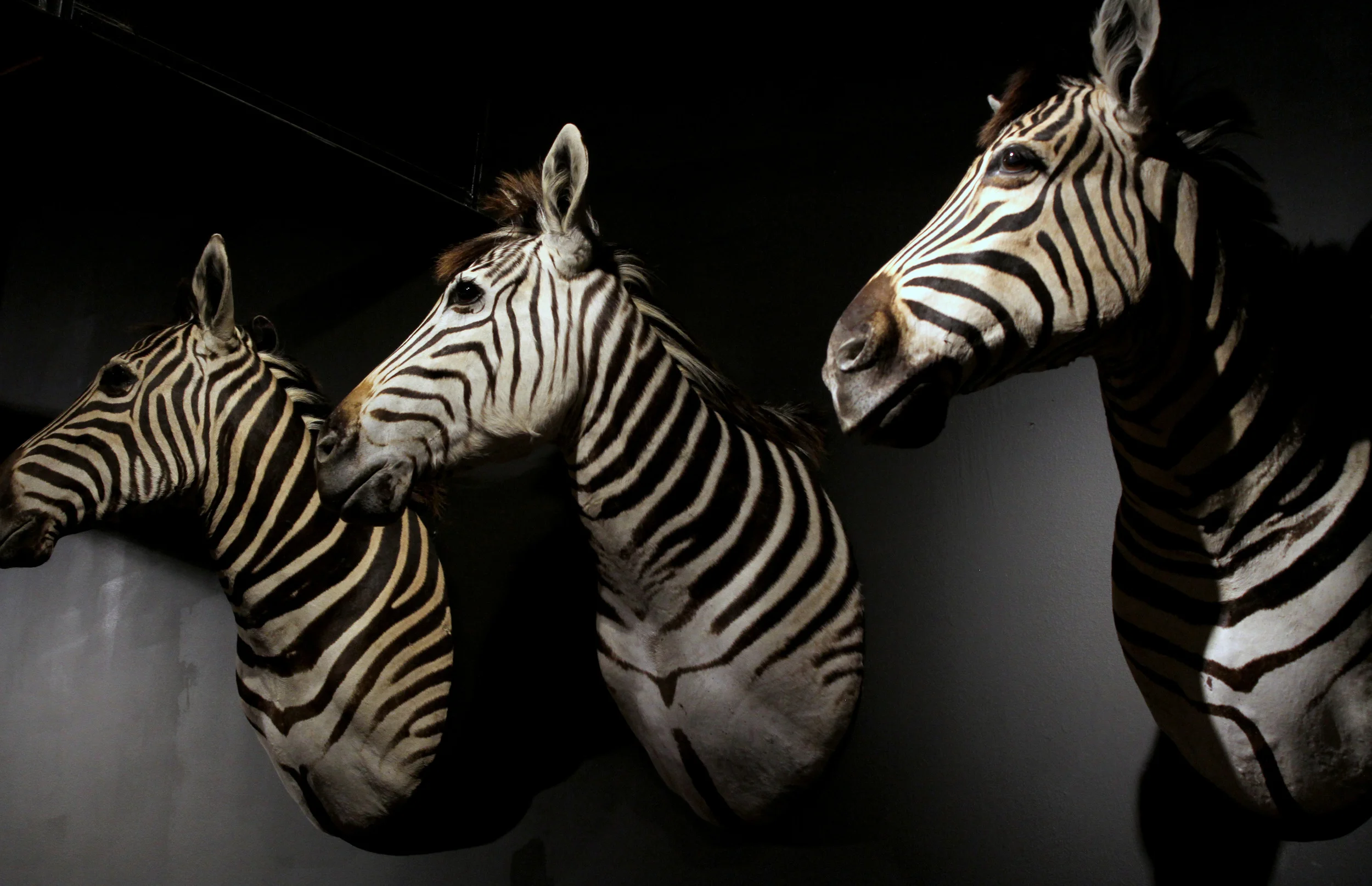 TO Store Product April 2013-021.JPG