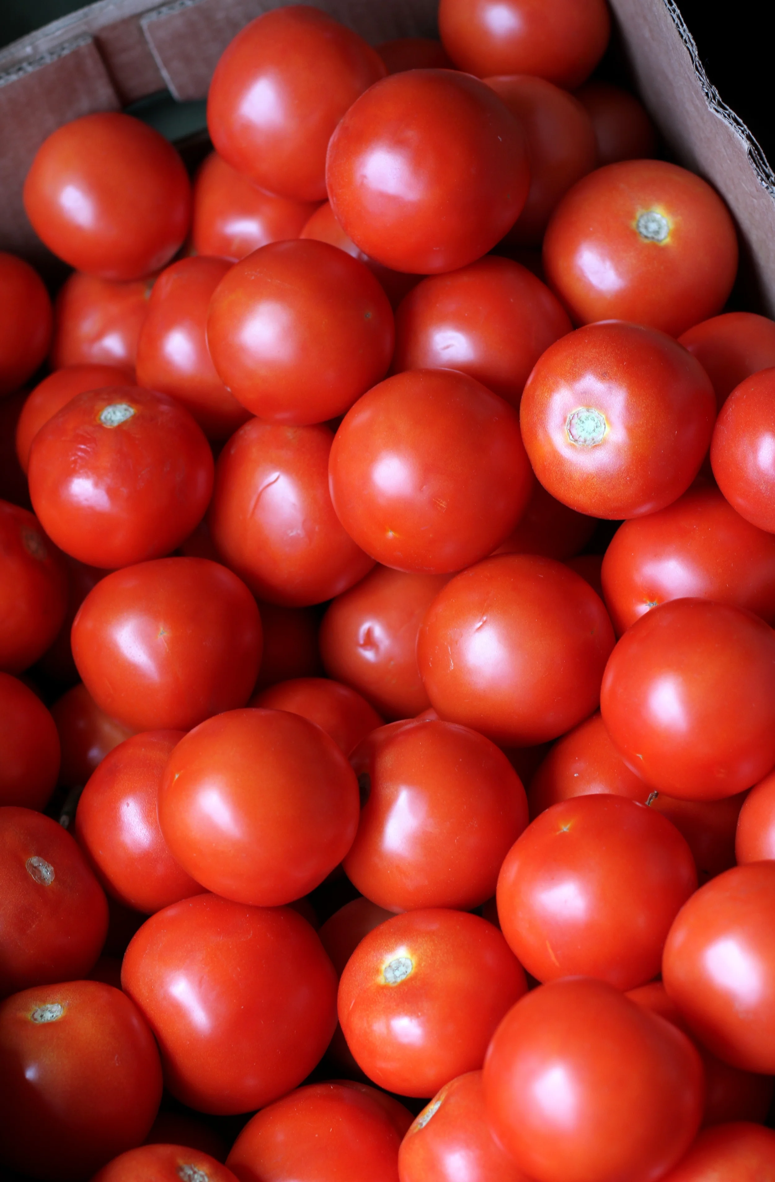 C&J Spiceman-005.JPG