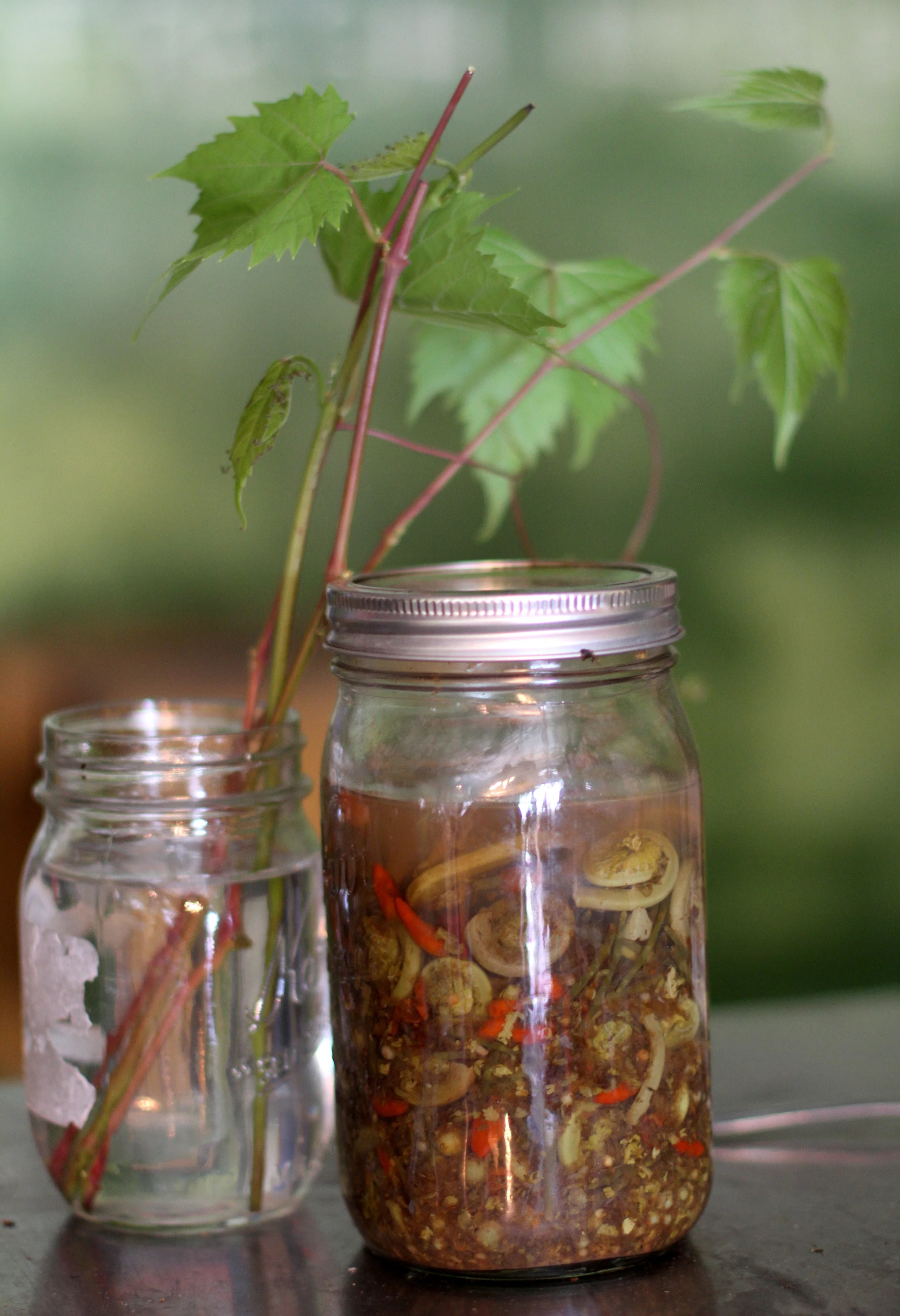 C&J Spiceman-007.JPG