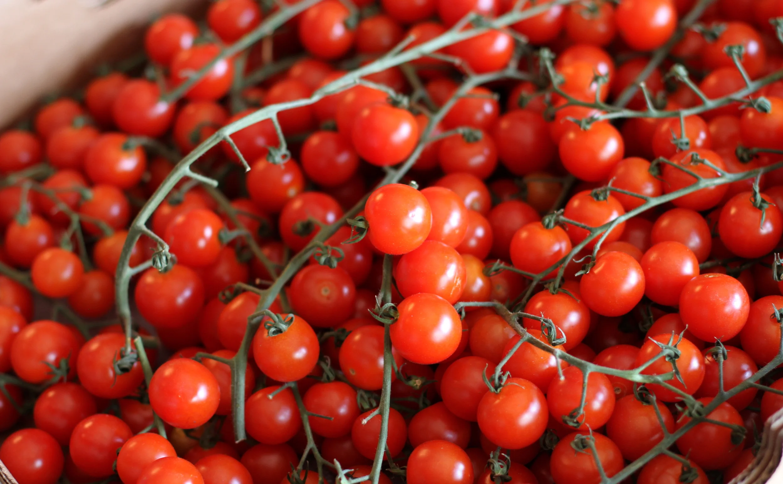 C&J Spiceman-015.JPG