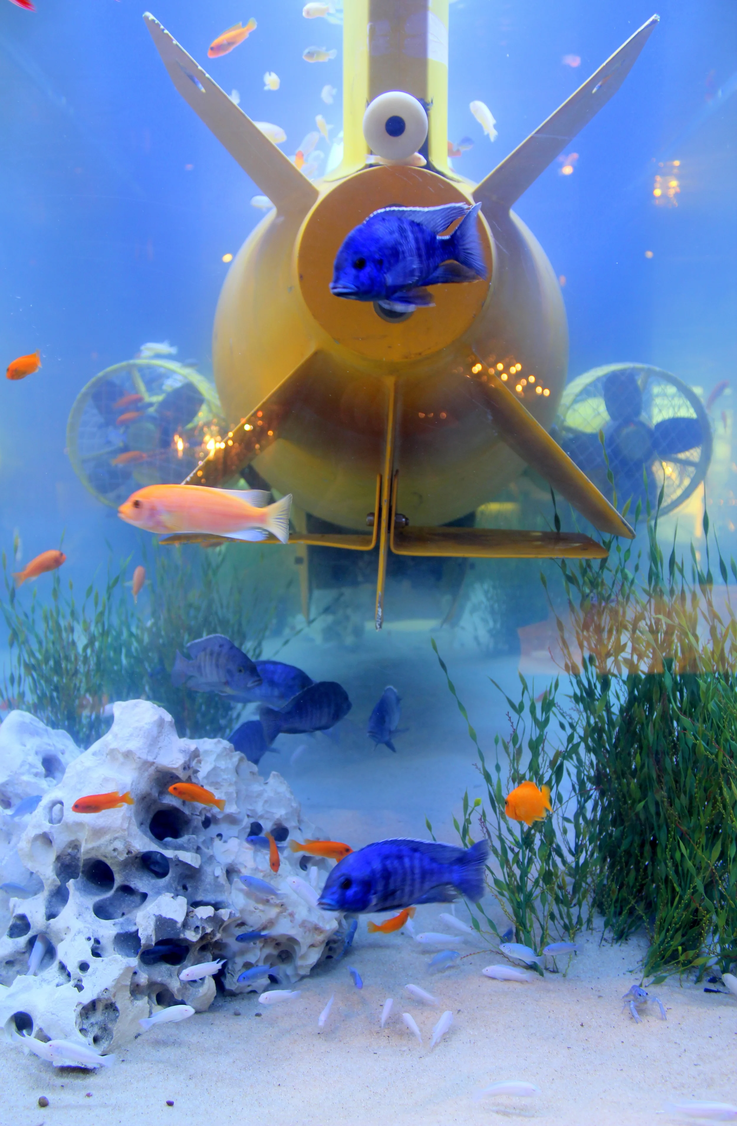 TO Store final-001.JPG