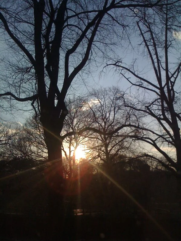 central park.jpg