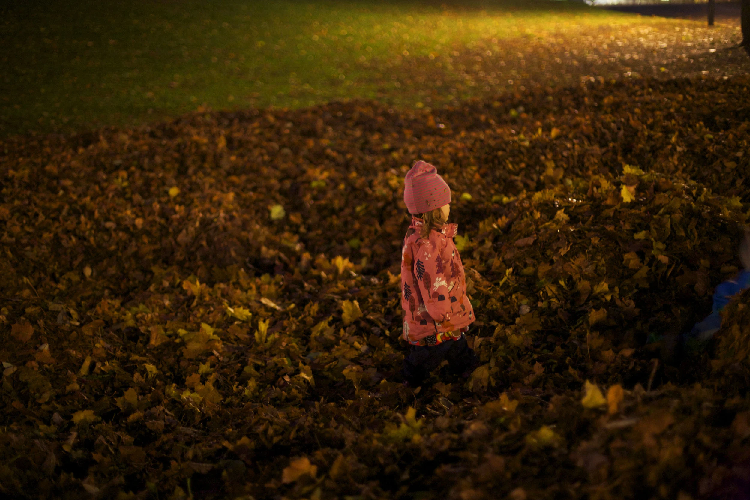 alva in the dark.jpg