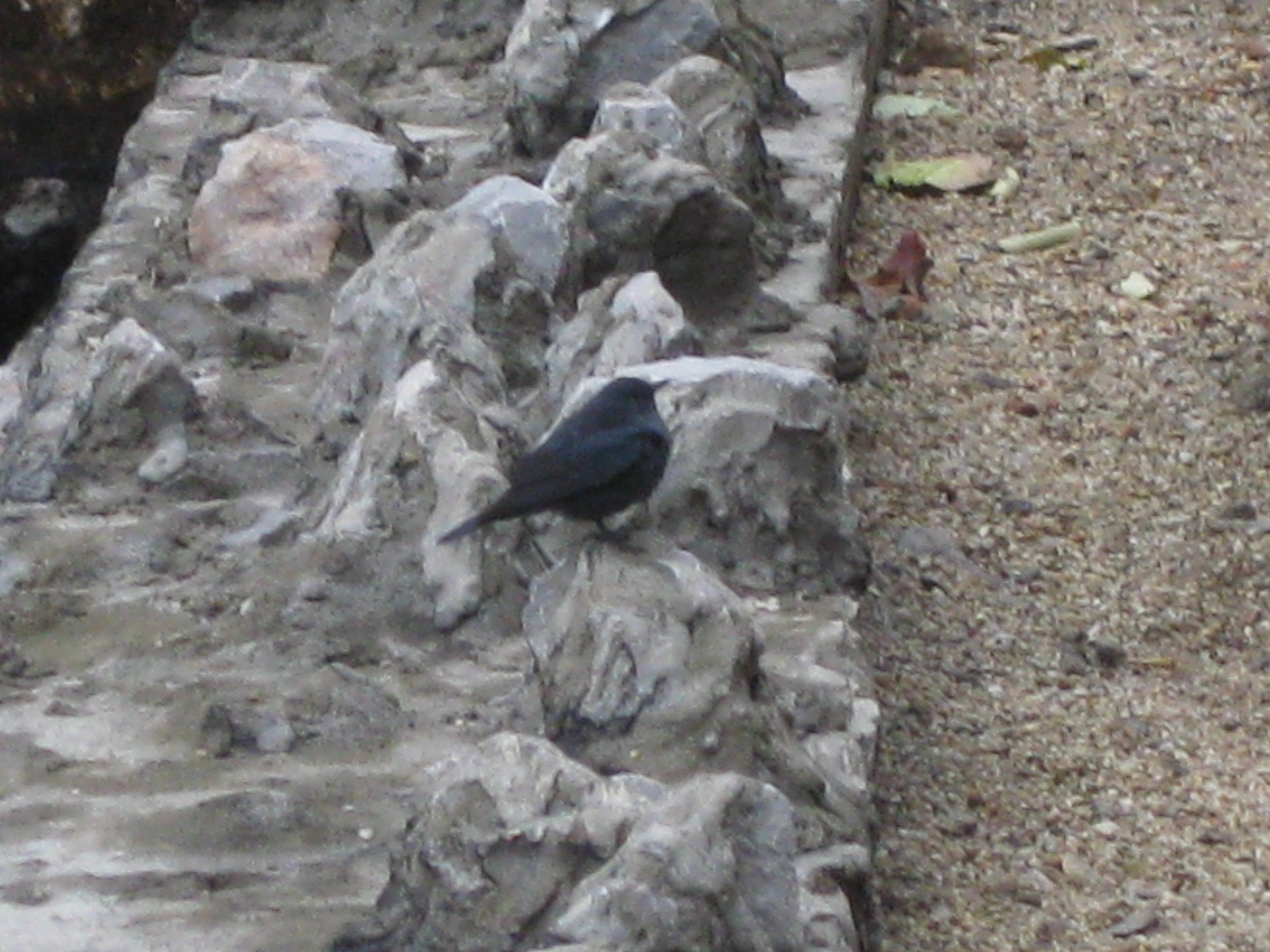 IMG_5440.JPG