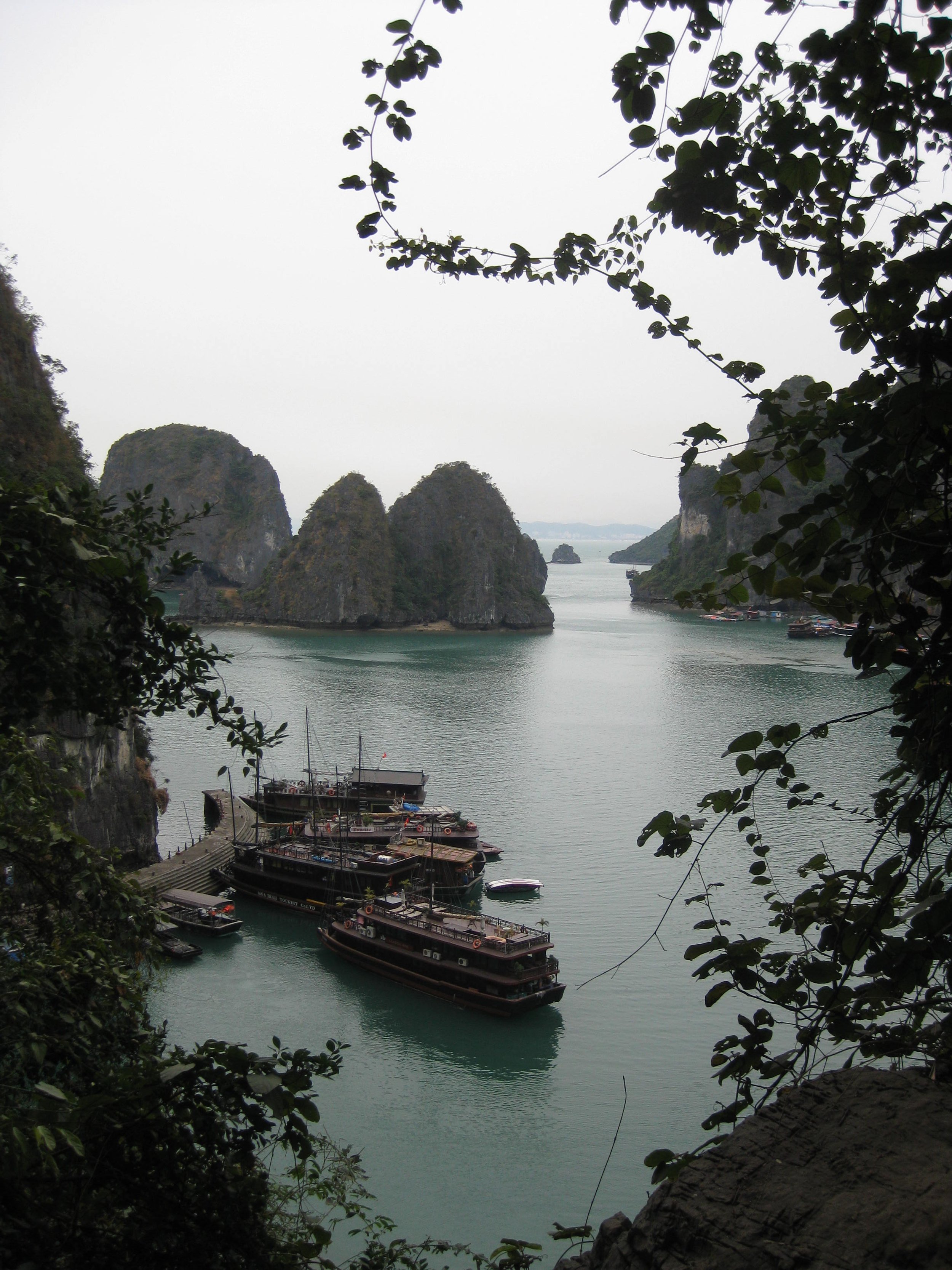 IMG_5453.JPG