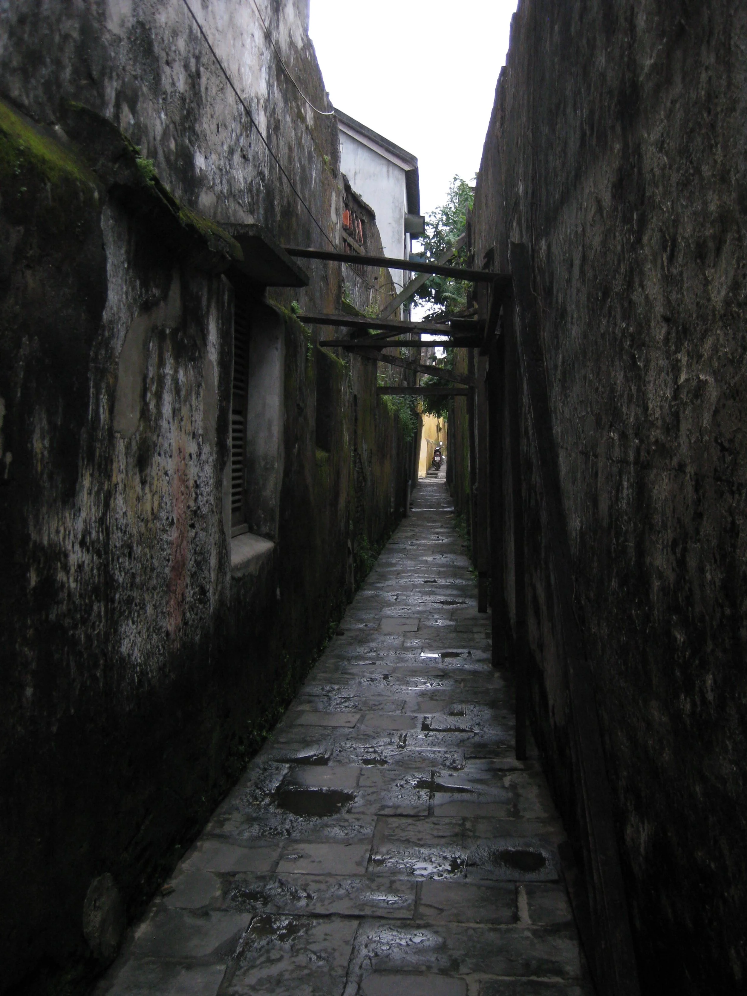 IMG_5577.JPG