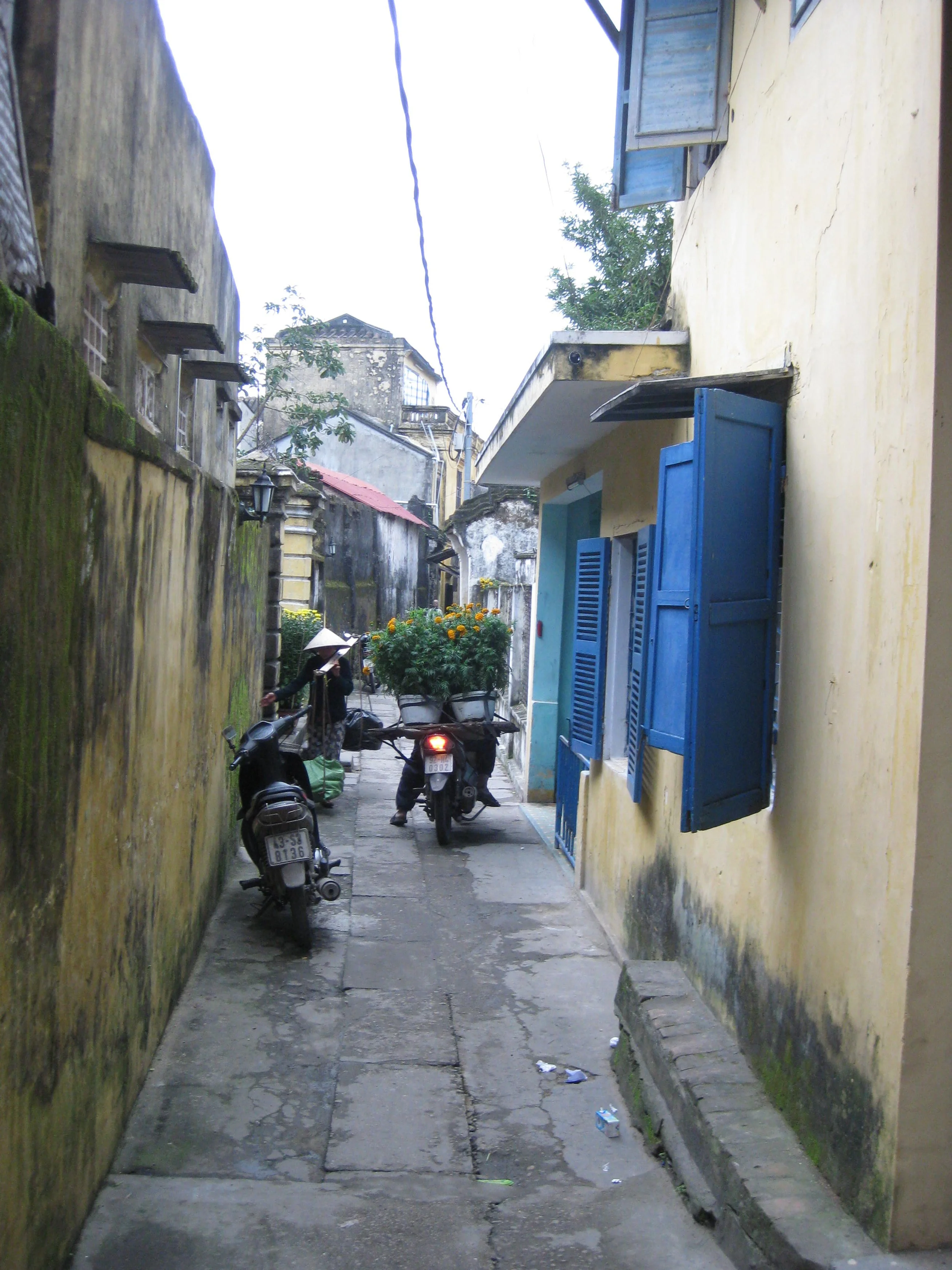 IMG_5581.JPG