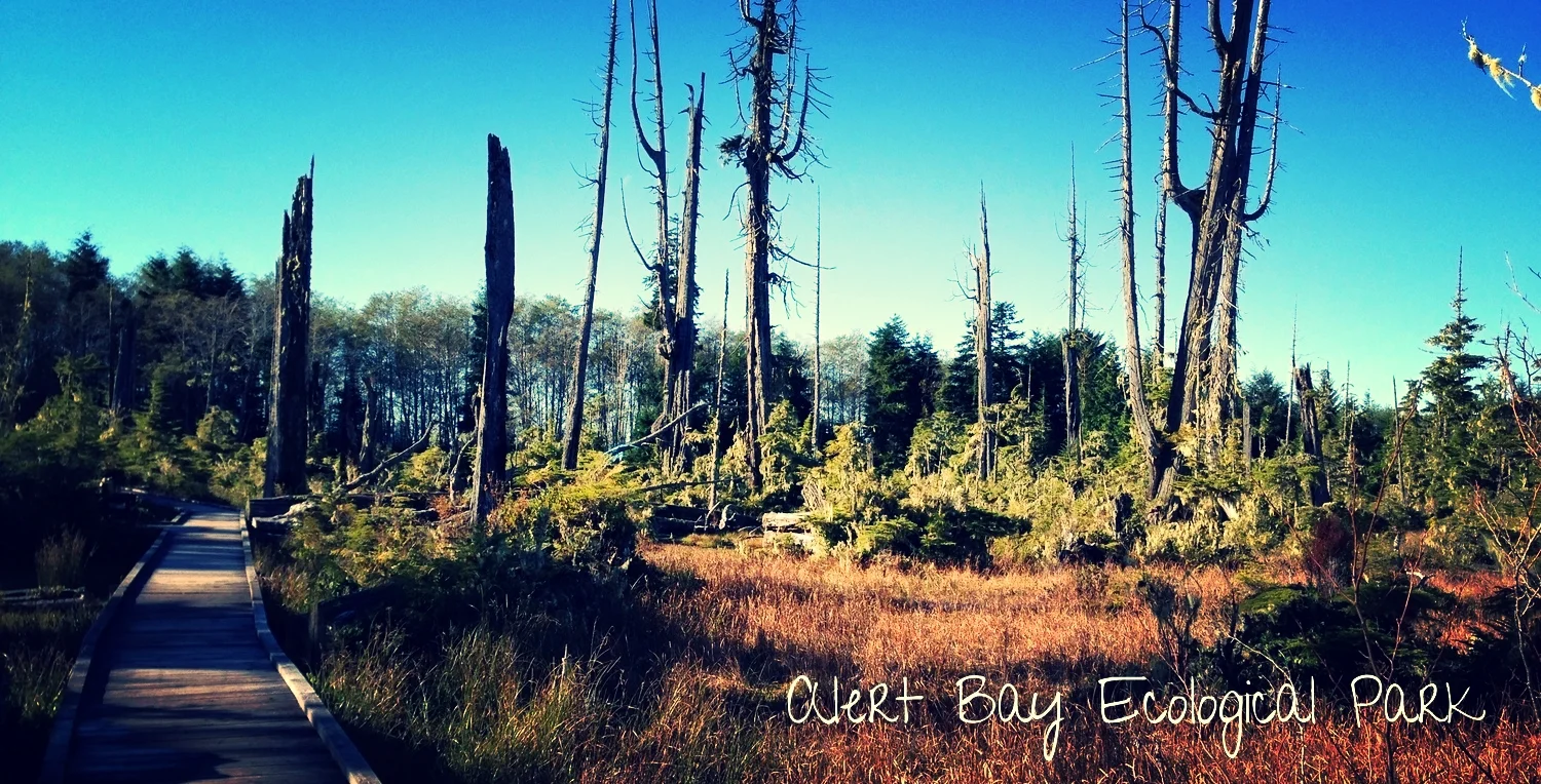 Village of Alert Bay