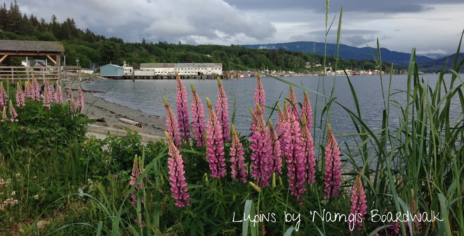 Village of Alert Bay