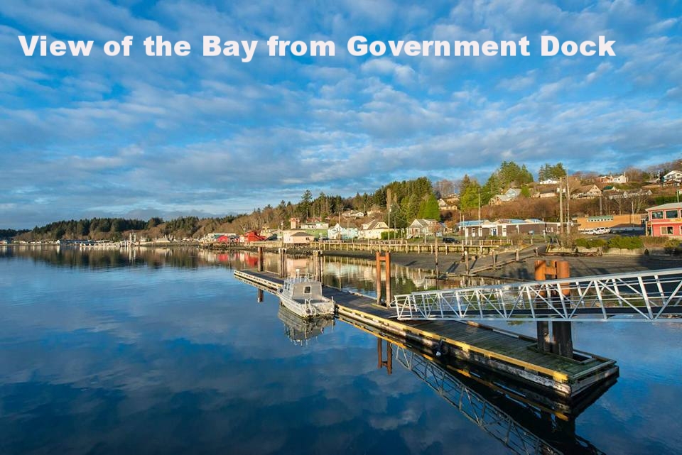 View of the Bay from the Government Dock