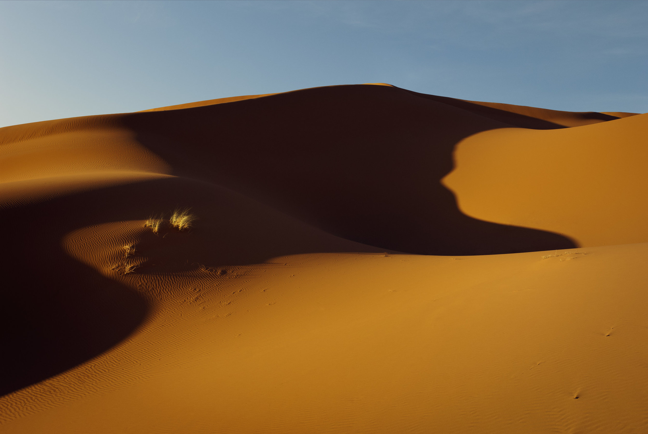 04_STOKES_DUNES.JPG