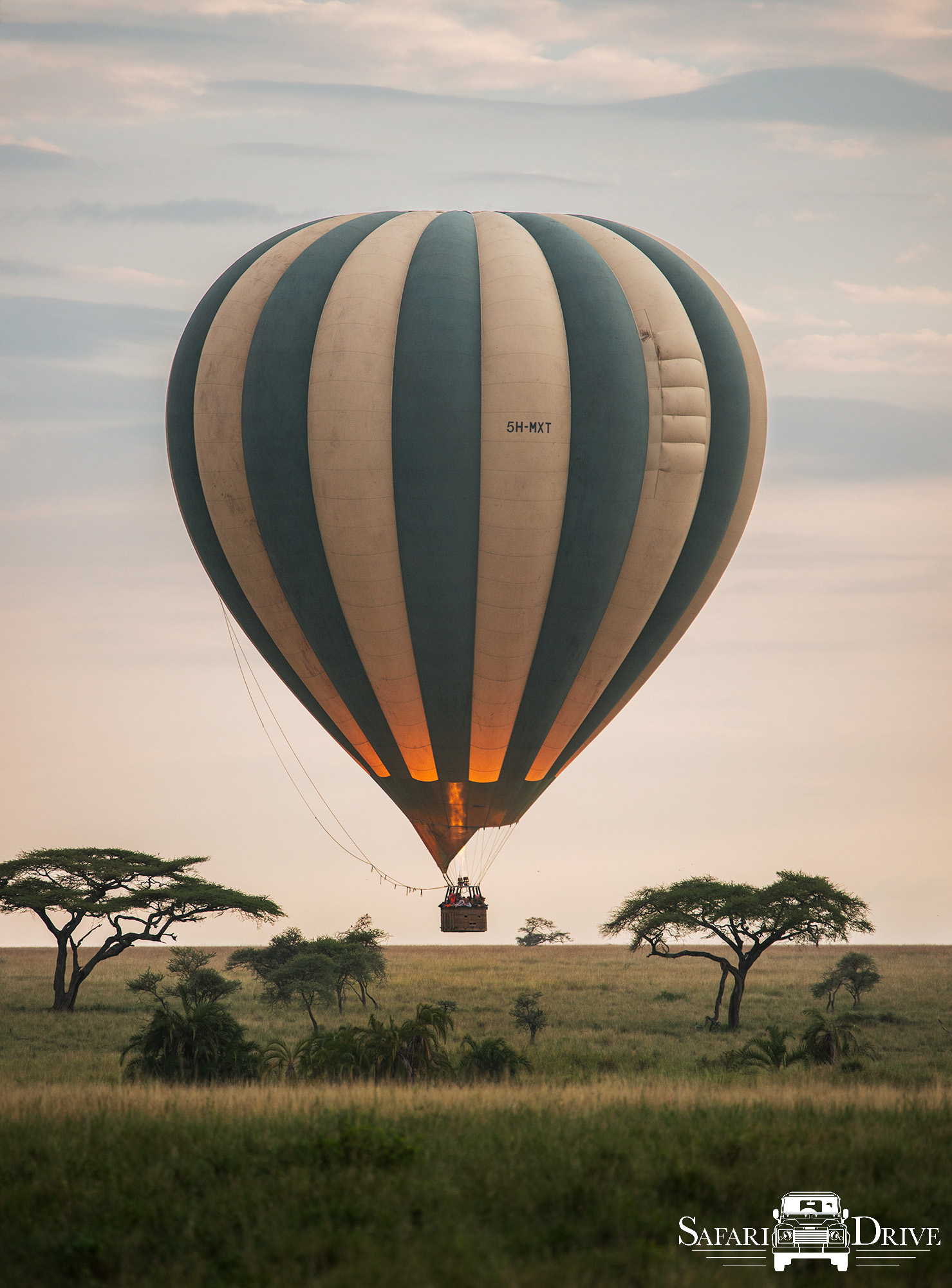 JONATHAN_STOKES_SAFARI_DRIVE_02.jpg