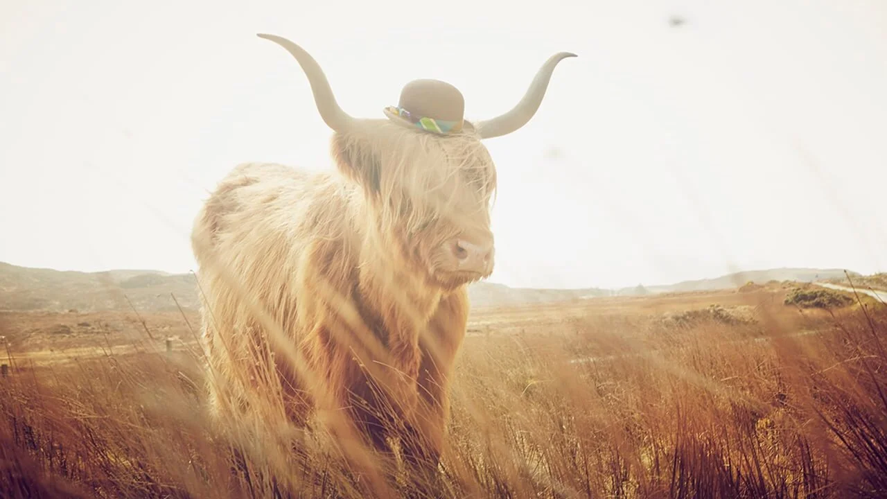 The Great British Holiday, Boden - Scotland