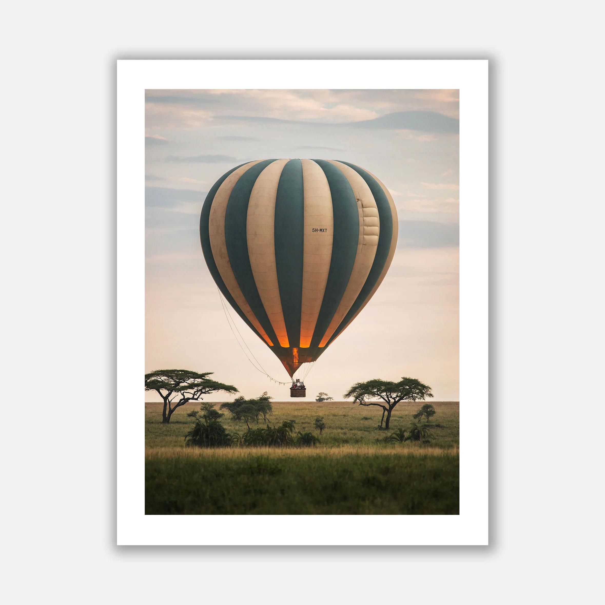 DAWN_SAFARI copy.jpg