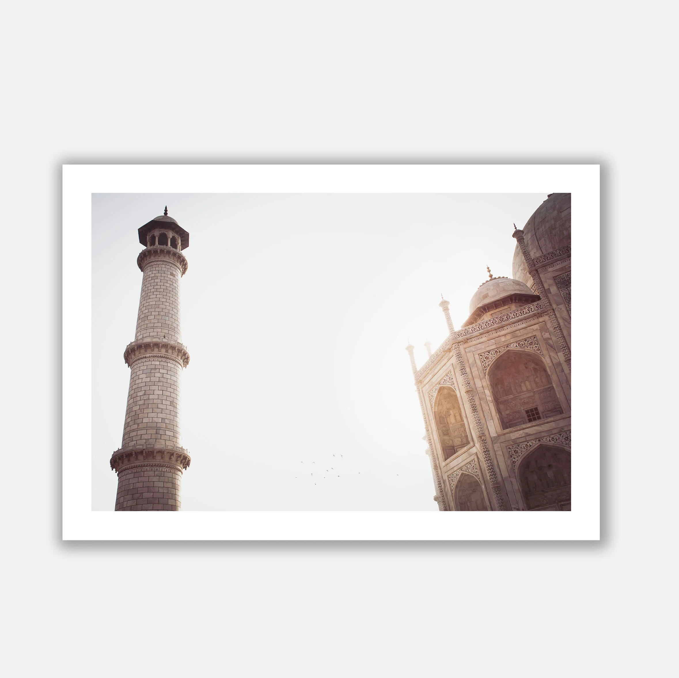 TAJ _MAHAL copy.jpg