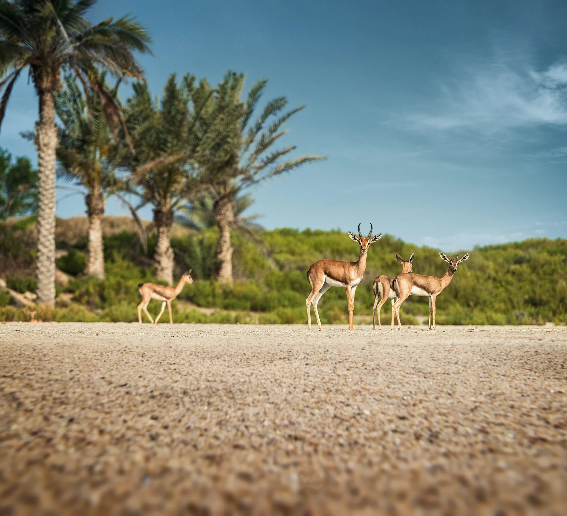 Nature_02.jpg