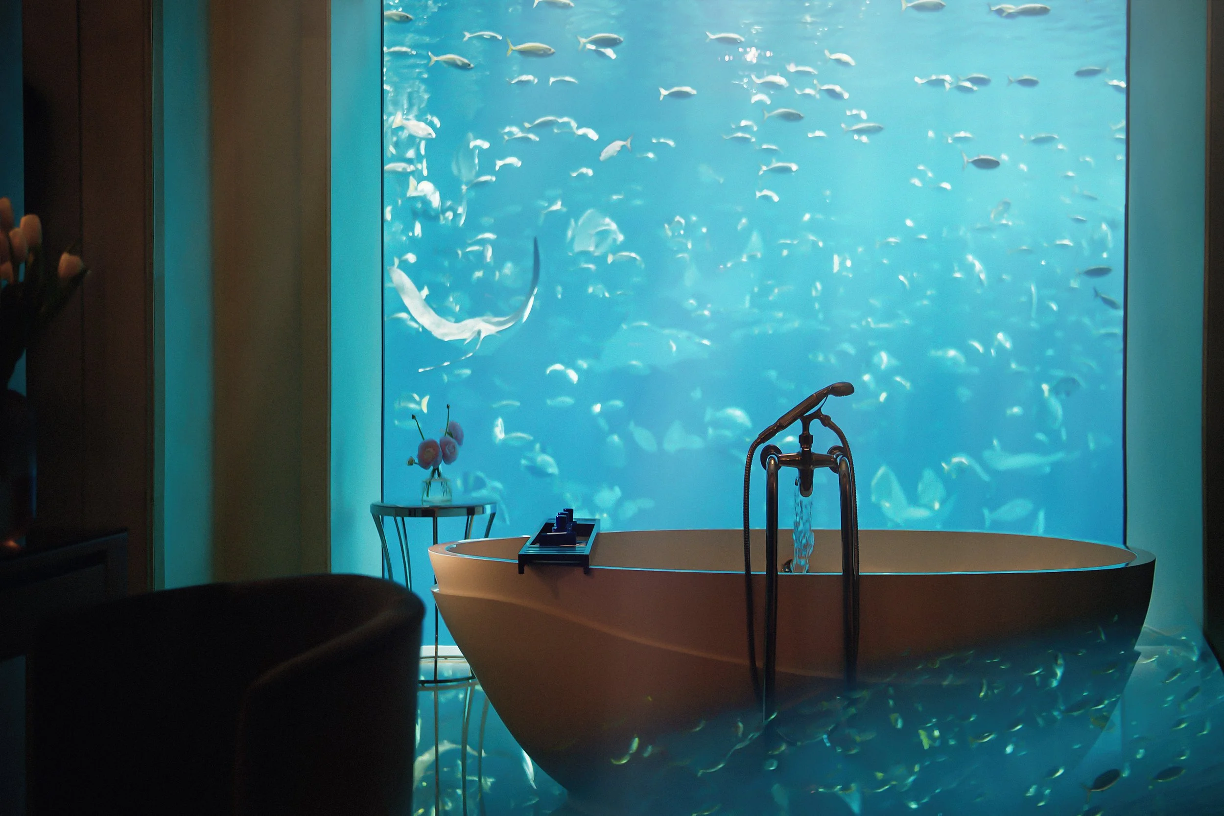 STOKES_ATLANTIS_INTERIORS0006b.jpg
