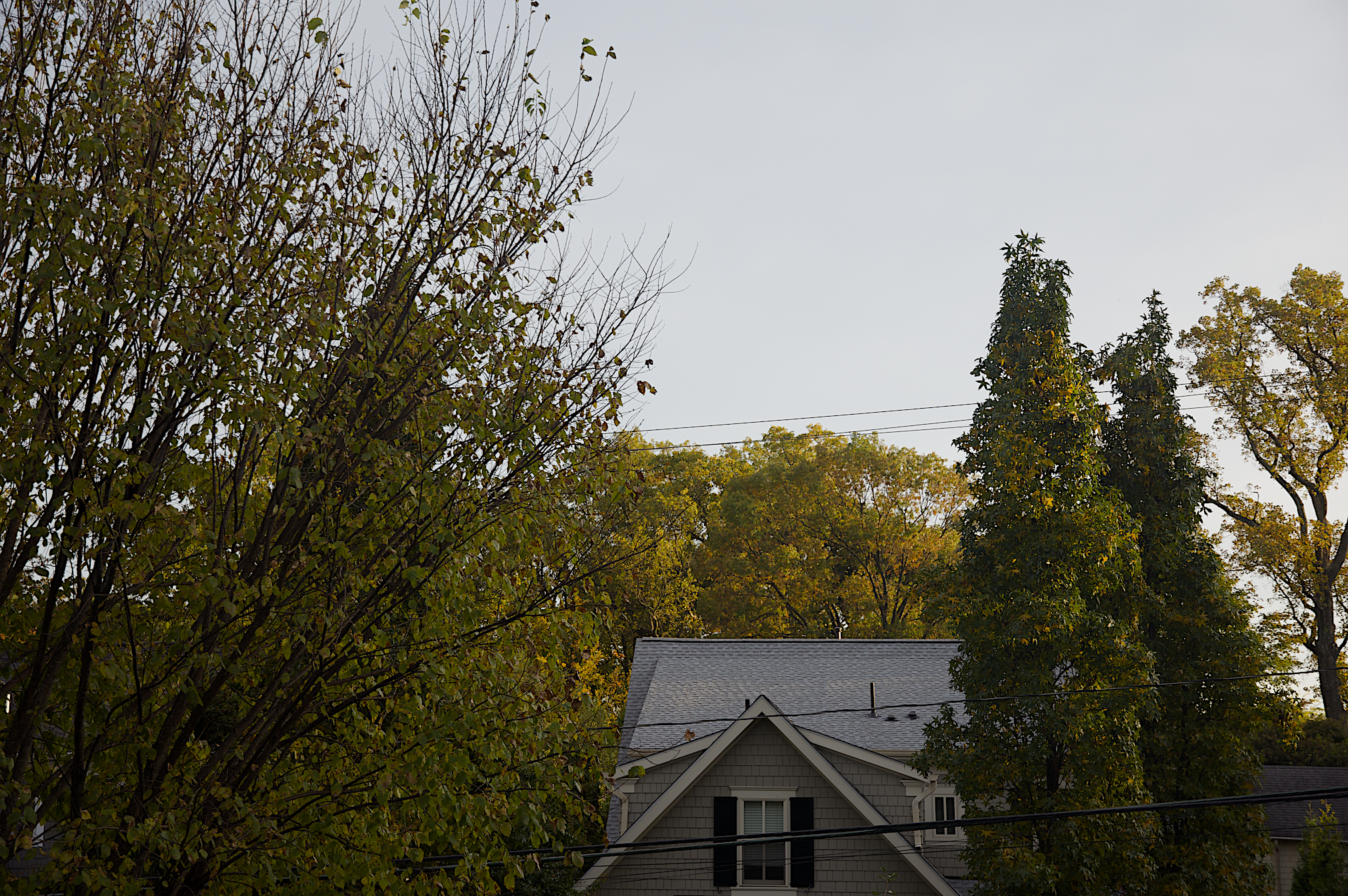 Screen Shot 2023-02-08 at 2.52.49 PM.png