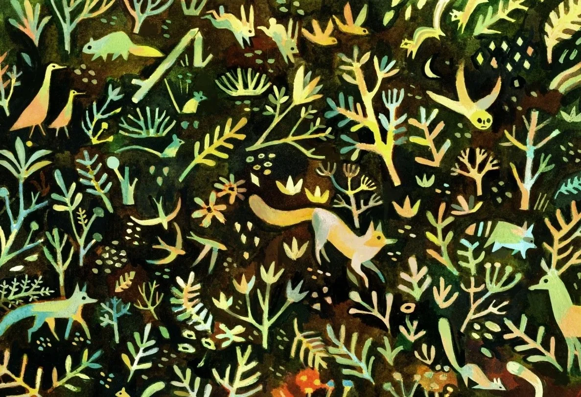 pokko-endpapers.jpg