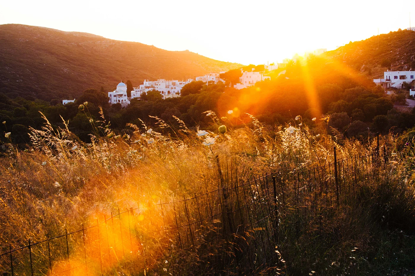 APitts_LP_Greece-428.jpg