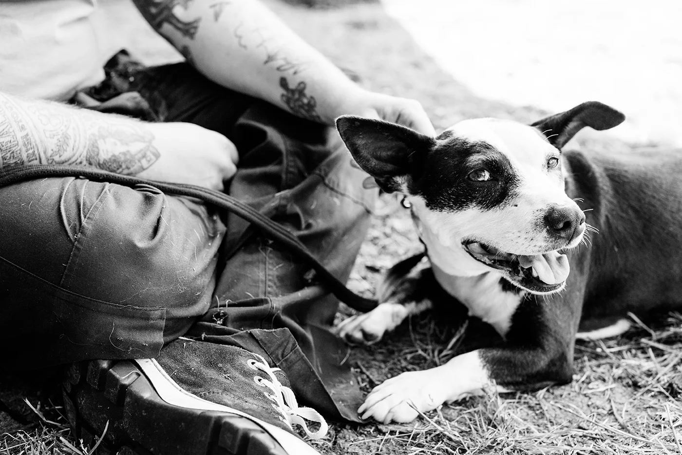 APitts_PetPlan-105.jpg