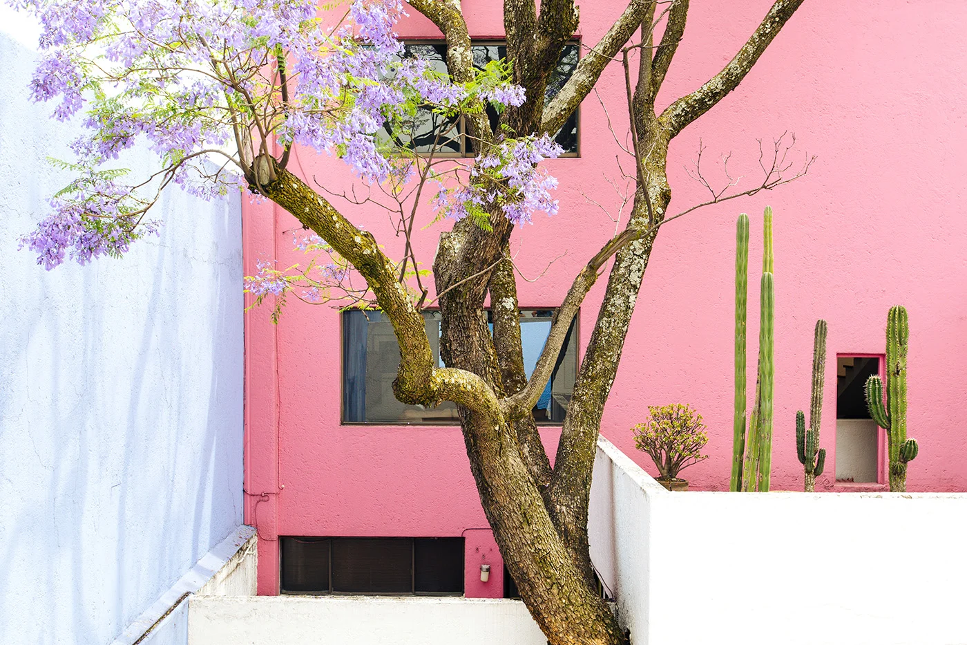APitts_ElCaminoMexico_637_RT.jpg