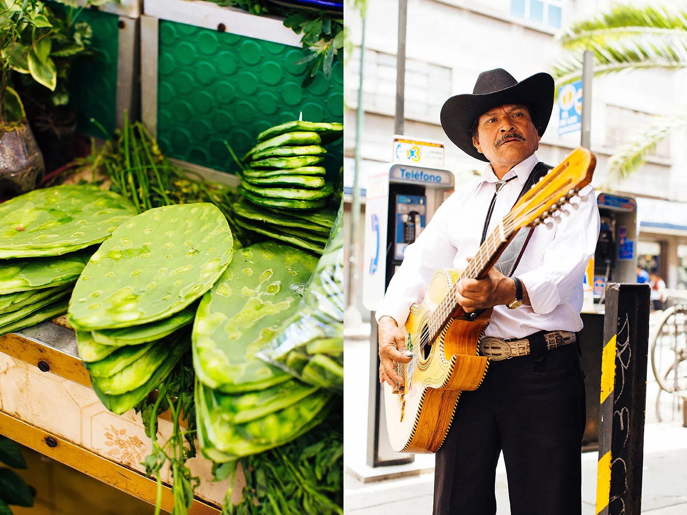 APitts_ElCaminoMexico_421.jpg