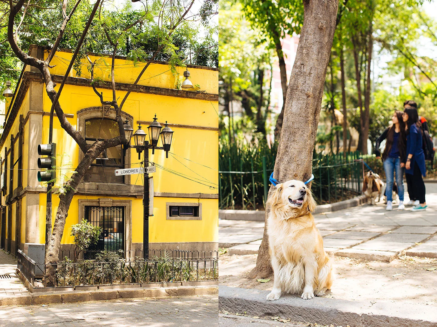 APitts_ElCaminoMexico_058.jpg