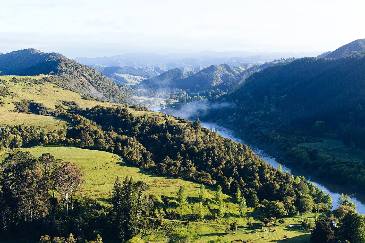 APitts_NZ2015_1043.jpg