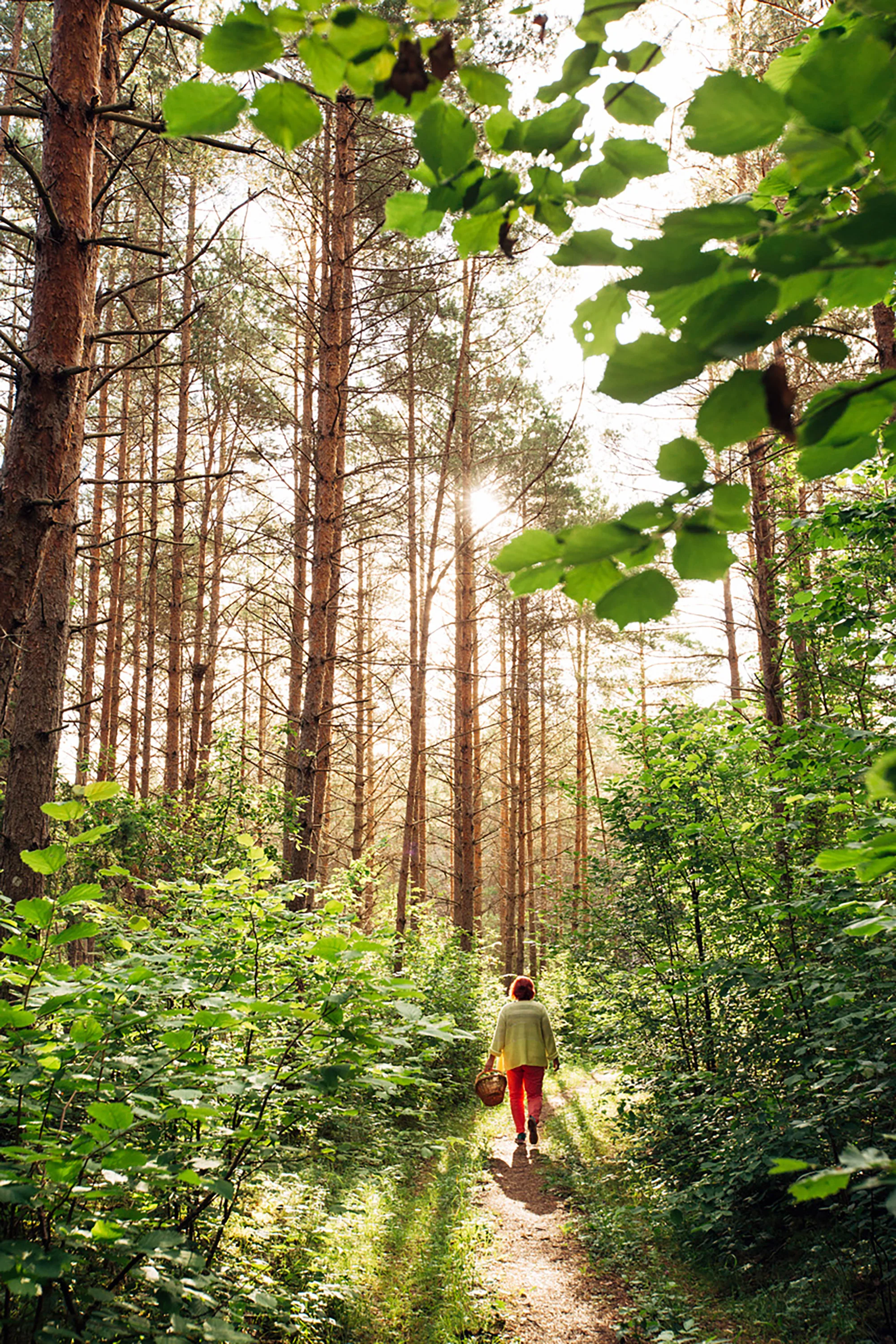ESTONIA x LONELY PLANET