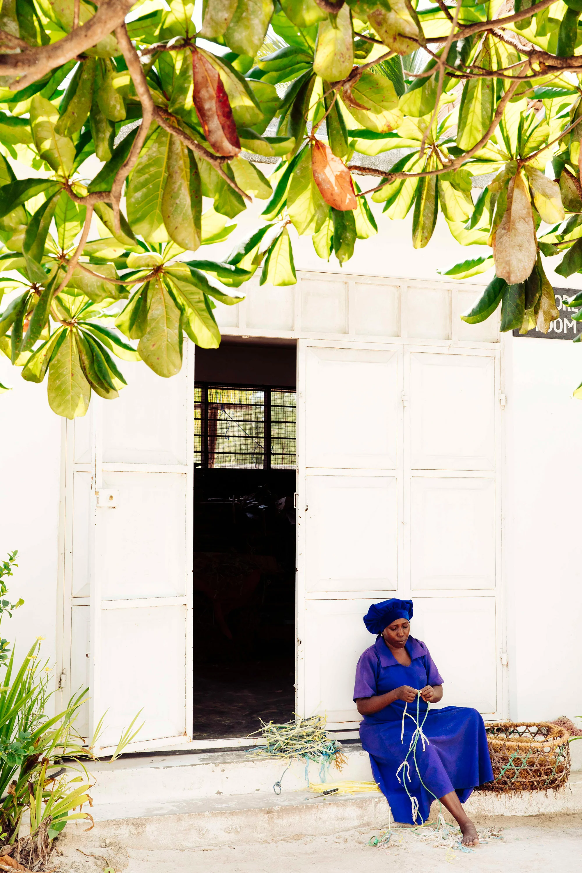 APitts_Condor_Zanzibar_033.jpg