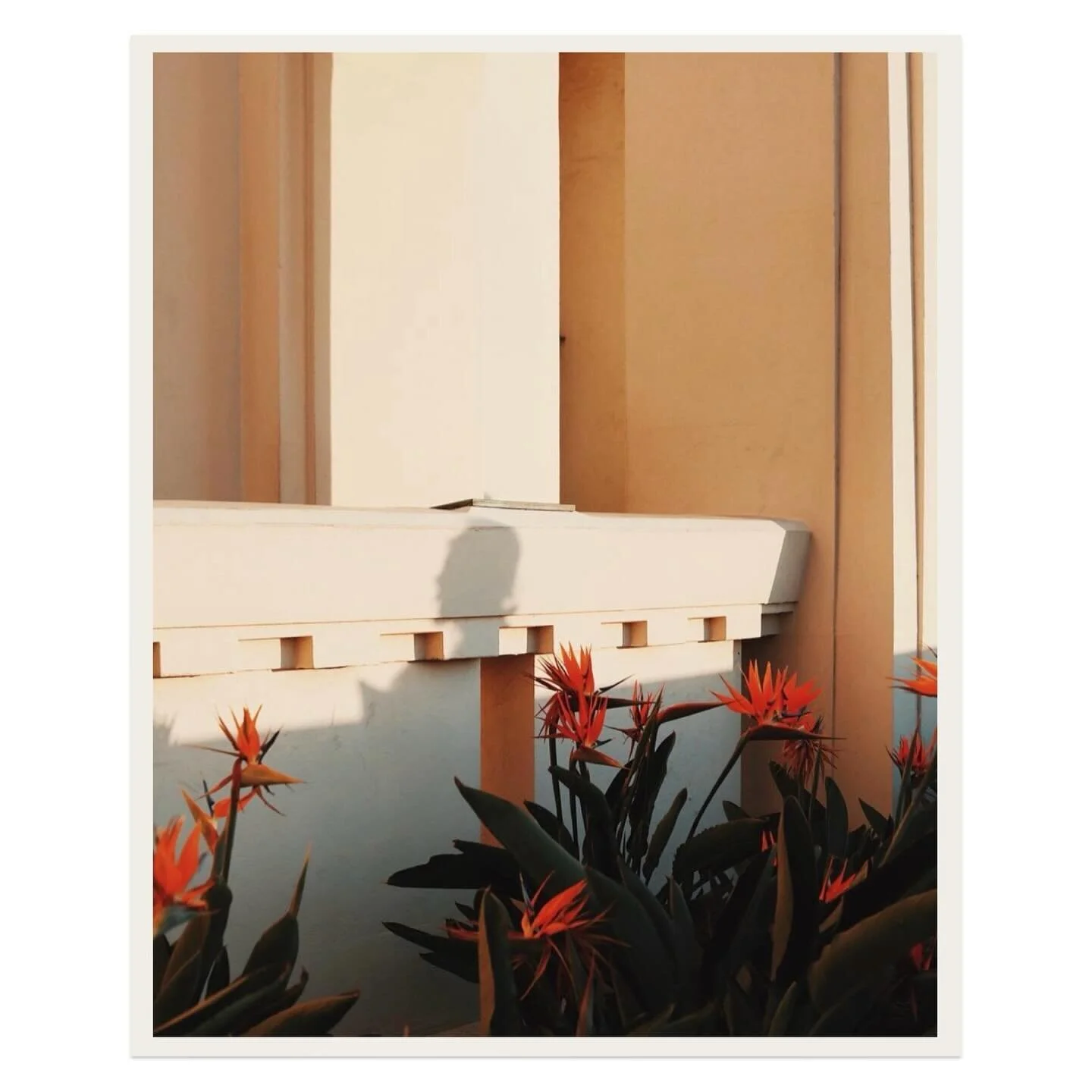 The Griffith Observatory at sunset with friends - one of my favourite LA memories ☺️✨