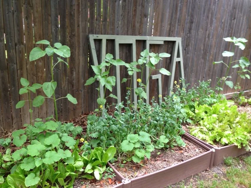 Grow, Laugh and Play in the Dirt!