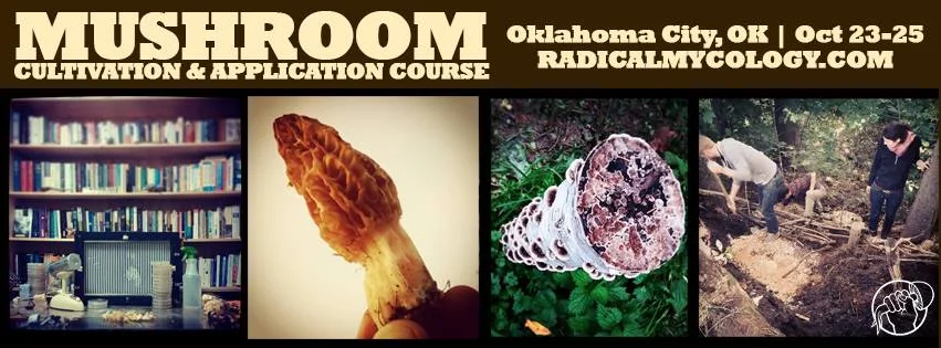 Mushroom Cultivation and Application Course with Peter McCoy