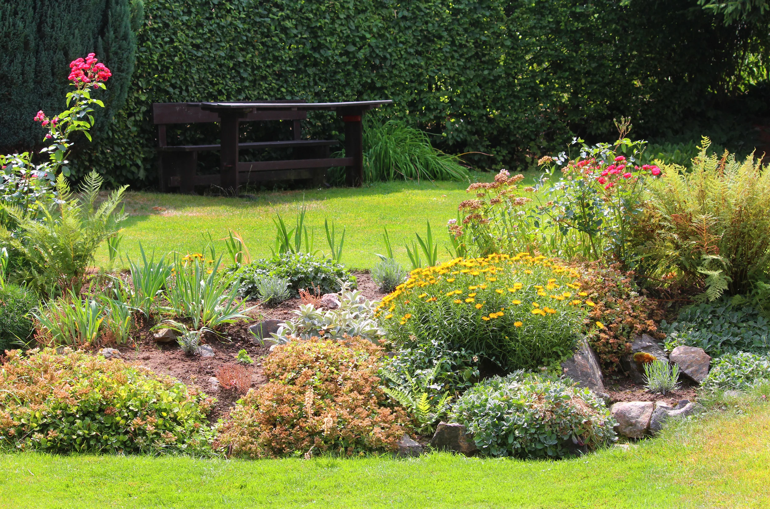 Rain Garden Workshop with Paul Mays & Phillip Koszarek