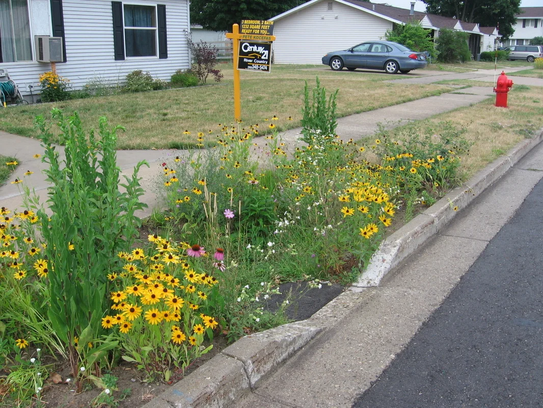 Water in the Urban Landscape: Rain Gardens and Curb-Cuts