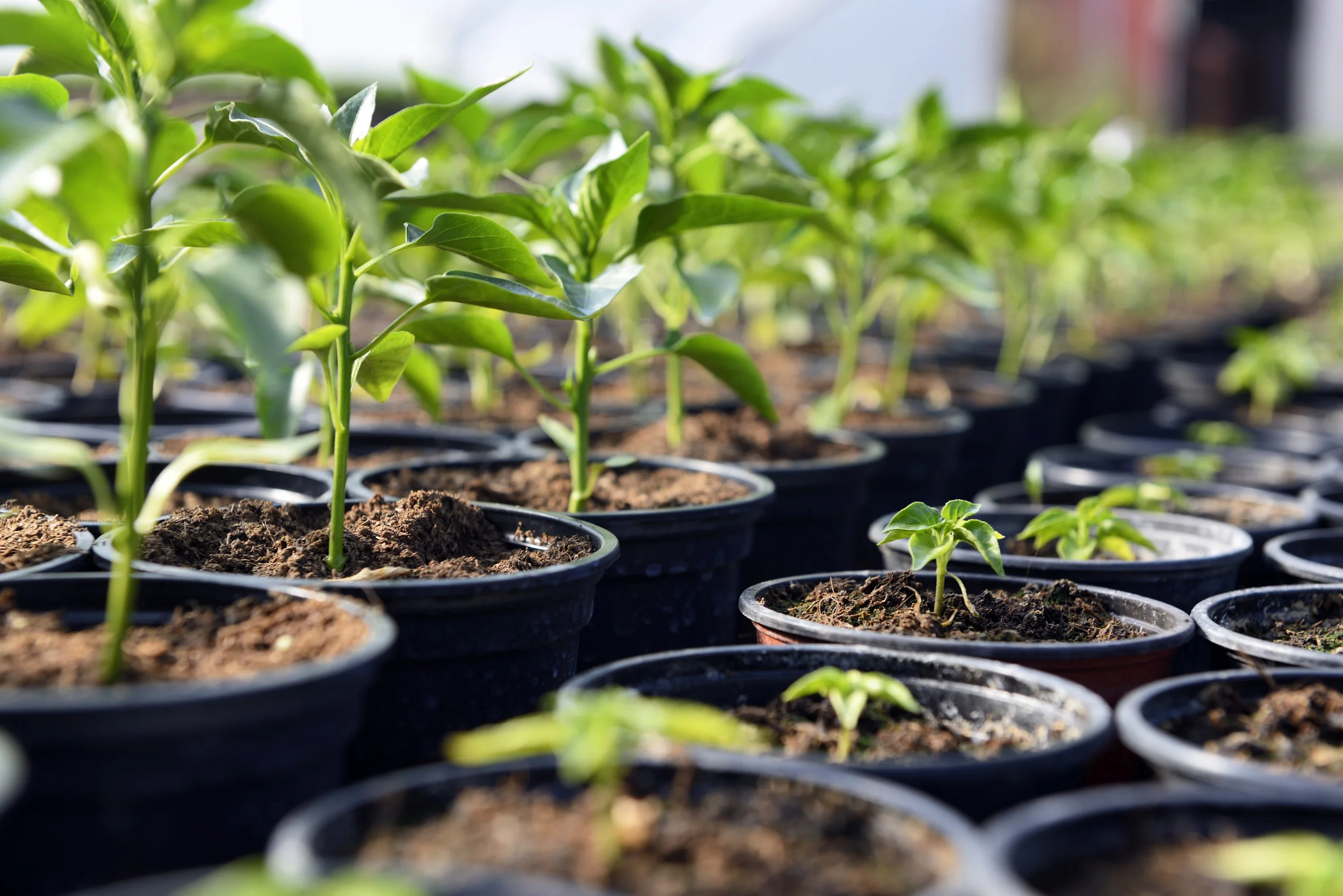 Propagation Made Simple
